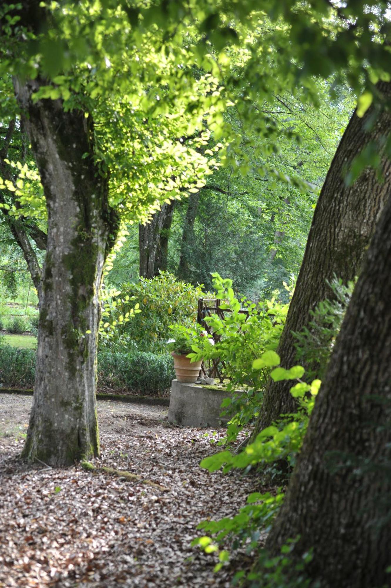 La Maison D'Hotes Du Parc Ronchamp Exteriör bild